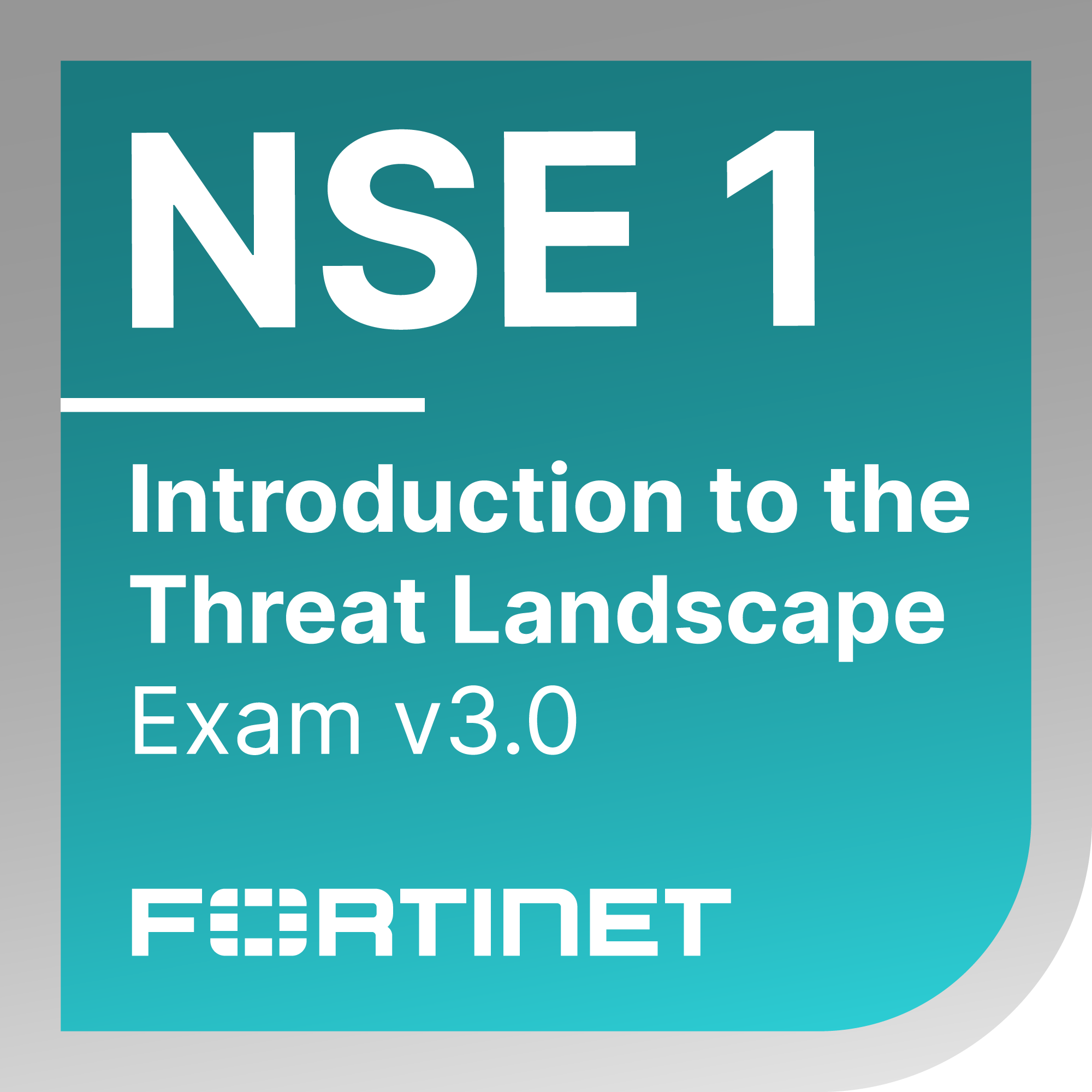 Badge NSE 1